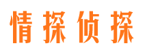 卫东市侦探公司